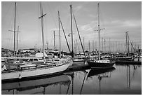 Yachts, Moss Landing. California, USA ( black and white)