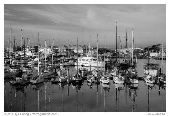 Marina, Moss Landing. California, USA (black and white)