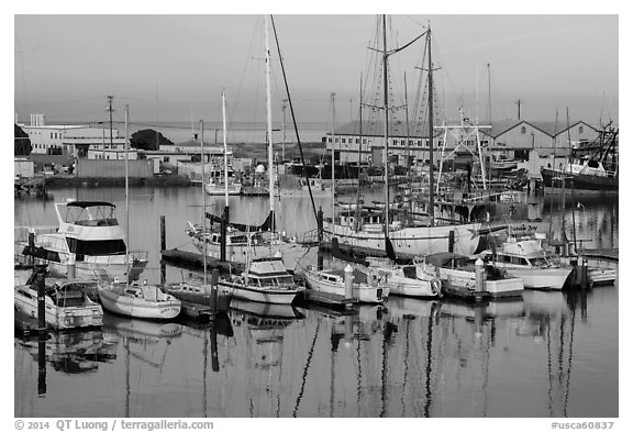 Moss Landing Marina. California, USA (black and white)