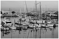 Moss Landing Marina. California, USA ( black and white)