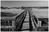 Boardwalk, Elkhorn Slough. California, USA ( black and white)
