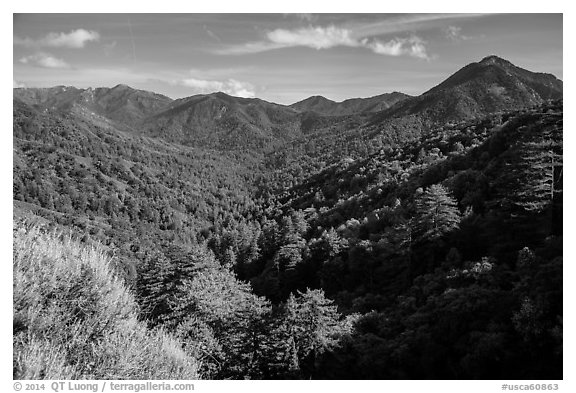 View from Bottchers Gap, Los Padres National Forest. Big Sur, California, USA (black and white)