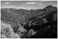 View from Bottchers Gap, Los Padres National Forest. Big Sur, California, USA ( black and white)