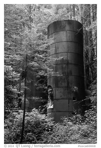 Lime kilns, Limekiln State Park. Big Sur, California, USA (black and white)