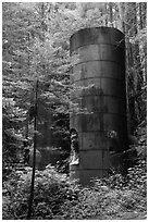 Lime kilns, Limekiln State Park. Big Sur, California, USA ( black and white)