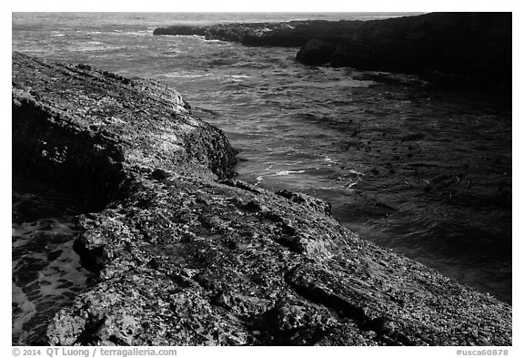 Rock and ocean, Spooners Cove, Montana de Oro State Park. Morro Bay, USA (black and white)