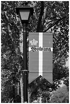 Flag with Danish colors. Solvang, California, USA ( black and white)