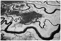 Aerial view of salt marsh. Palo Alto,  California, USA ( black and white)