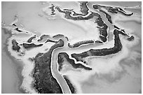 Aerial view of salt pond. Redwood City,  California, USA ( black and white)