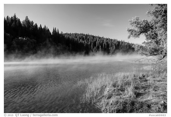 Early morning fog raising from Jenkinson Lake. California, USA (black and white)