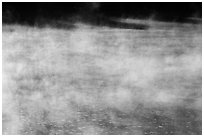 Mist rising from lake, Jenkinson Lake. California, USA ( black and white)
