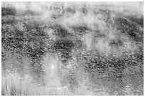 Ripples and mist rising, Jenkinson Lake. California, USA ( black and white)