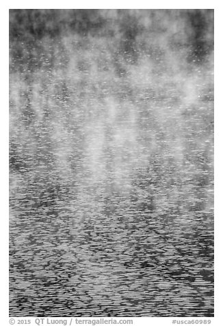 Mist floating above rippled water, Jenkinson Lake. California, USA (black and white)