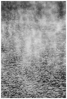 Mist floating above rippled water, Jenkinson Lake. California, USA ( black and white)