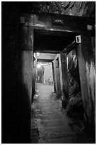 El Dorado Mine gallery with wooden beams, Gold Bug Mine, Placerville. California, USA ( black and white)