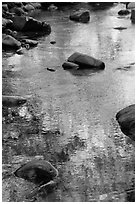 Boulders and green foliage reflection in river. California, USA ( black and white)