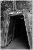 Entrance of historic Gold Bug Mine, Placerville. California, USA ( black and white)