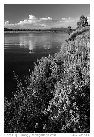 Prosser Reservoir, Tahoe National Forest. California, USA (black and white)