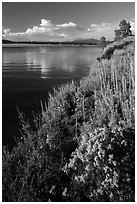 Prosser Reservoir, Tahoe National Forest. California, USA ( black and white)