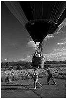 Helpers pull hot air balloon, Tahoe National Forest. California, USA ( black and white)