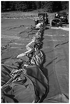 Hot air balloon being folded for transportation, Tahoe National Forest. California, USA ( black and white)