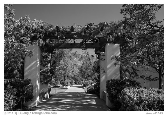 Garden framing hills, Cesar Chavez National Monument, Keene. California, USA (black and white)