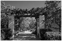 Garden framing hills, Cesar Chavez National Monument, Keene. California, USA ( black and white)