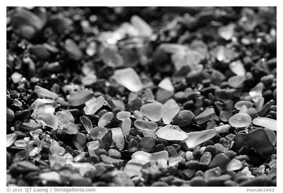 Seaglass detail. Fort Bragg, California, USA (black and white)