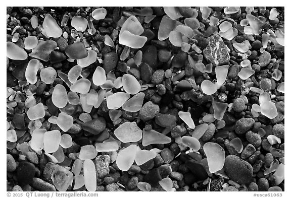 Seaglass close-up. Fort Bragg, California, USA (black and white)