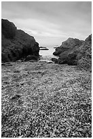 Rocky beach cove filled with seaglass. Fort Bragg, California, USA ( black and white)
