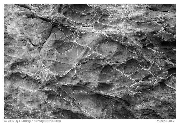 Honeycombed rock formations. Fort Bragg, California, USA (black and white)