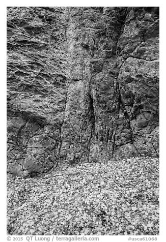 Seaglass and rock. Fort Bragg, California, USA (black and white)