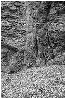Seaglass and rock. Fort Bragg, California, USA ( black and white)