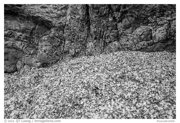 Beach seaglass and rock. Fort Bragg, California, USA (black and white)