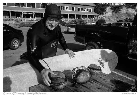 Man with surfboard examining abalone. California, USA (black and white)