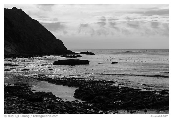 Coastline near Point Arena Creek. California, USA (black and white)