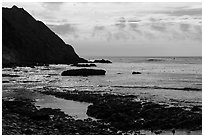 Coastline near Point Arena Creek. California, USA ( black and white)