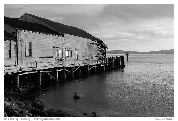 Wharf in late afternoon, Bodega Bay. Sonoma Coast, California, USA (black and white)