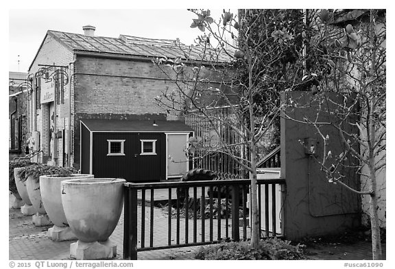 Magnolia and art gallery building. Petaluma, California, USA (black and white)