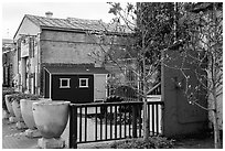 Magnolia and art gallery building. Petaluma, California, USA ( black and white)