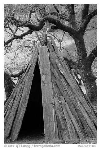 Kotcha redwood bark Coast Miwok dwelling, Olompali State Historic Park. Petaluma, California, USA (black and white)