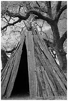 Kotcha redwood bark Coast Miwok dwelling, Olompali State Historic Park. Petaluma, California, USA ( black and white)