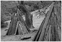 Reconstructed Miwok village, Olompali State Historic Park. Petaluma, California, USA ( black and white)