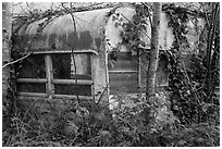 Overgrown trailer, Klamath. California, USA ( black and white)