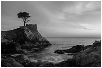Lone Cypress and cove at sunset. Pebble Beach, California, USA ( black and white)