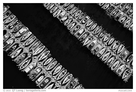 Aerial view of rows of yachts. Monterey, California, USA (black and white)