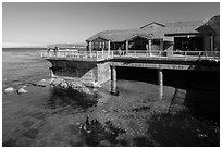 Observation deck and scuba divers, Monterey Bay Aquarium. Monterey, California, USA ( black and white)