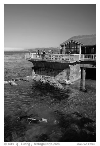 Ocean deck and scuba divers, Monterey Bay Aquarium. Monterey, California, USA (black and white)