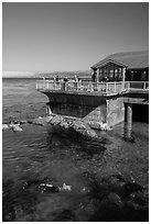 Ocean deck and scuba divers, Monterey Bay Aquarium. Monterey, California, USA ( black and white)