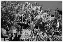 Courtyard, Mission San Juan. San Juan Bautista, California, USA ( black and white)